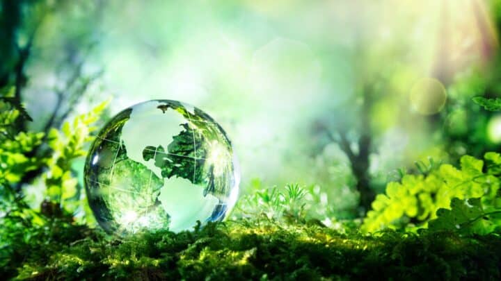 globe environmental
